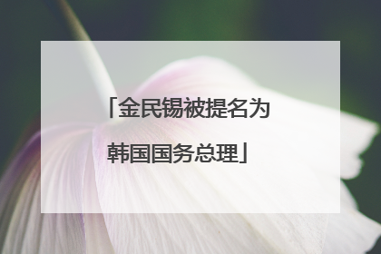 金民锡被提名为韩国国务总理