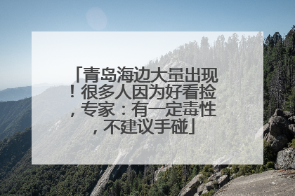 青岛海边大量出现！很多人因为好看捡，专家：有一定毒性，不建议手碰
