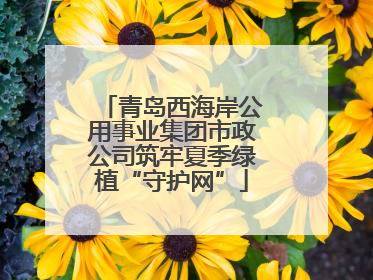 青岛西海岸公用事业集团市政公司筑牢夏季绿植“守护网”