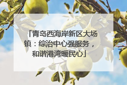 青岛西海岸新区大场镇：综治中心强服务，和谐港湾暖民心