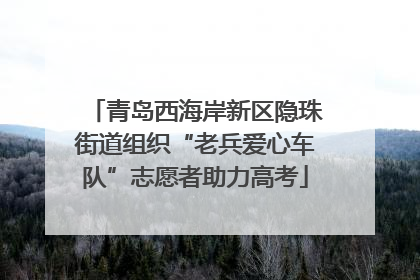 青岛西海岸新区隐珠街道组织“老兵爱心车队”志愿者助力高考