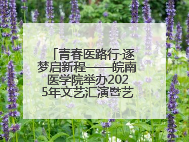 青春医路行·逐梦启新程——皖南医学院举办2025年文艺汇演暨艺术党课