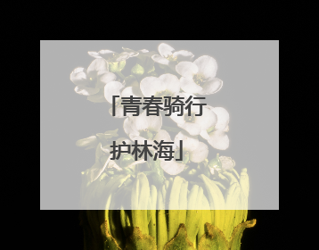青春骑行护林海