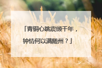 青铜心跳震颤千年，钟情何以满随州？