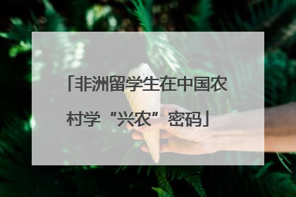 非洲留学生在中国农村学“兴农”密码