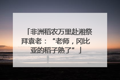非洲稻农万里赴湘祭拜袁老：“老师，冈比亚的稻子熟了”