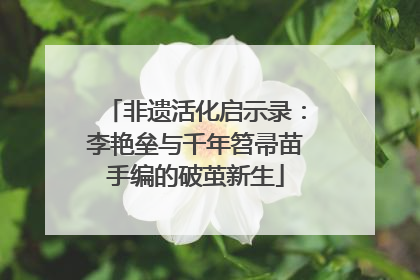 非遗活化启示录：李艳垒与千年笤帚苗手编的破茧新生