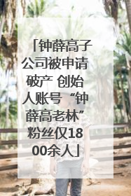 钟薛高子公司被申请破产 创始人账号“钟薛高老林”粉丝仅1800余人
