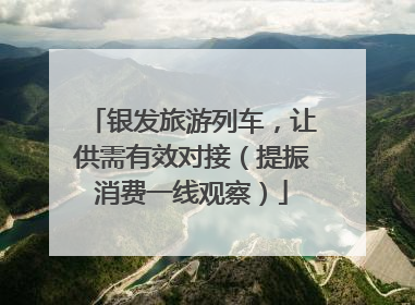 银发旅游列车，让供需有效对接（提振消费一线观察）