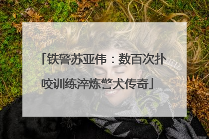 铁警苏亚伟：数百次扑咬训练淬炼警犬传奇