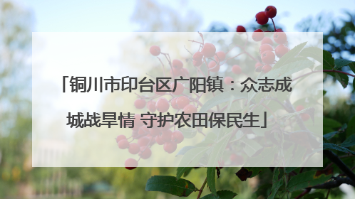 铜川市印台区广阳镇：众志成城战旱情 守护农田保民生