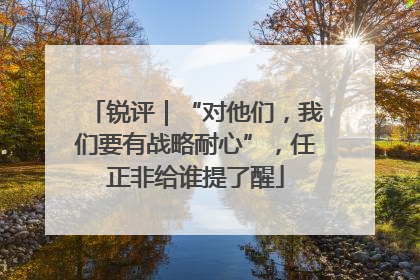 锐评｜“对他们，我们要有战略耐心”，任正非给谁提了醒