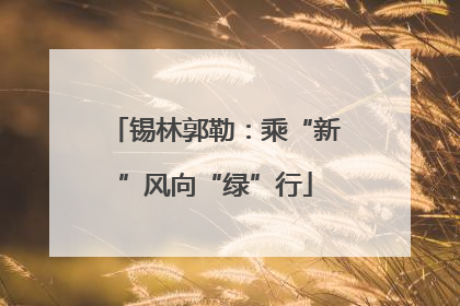 锡林郭勒：乘“新”风向“绿”行