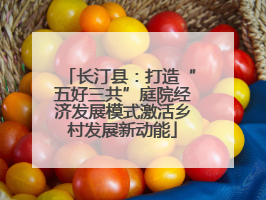 长汀县：打造“五好三共”庭院经济发展模式激活乡村发展新动能