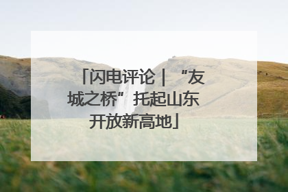 闪电评论｜“友城之桥”托起山东开放新高地