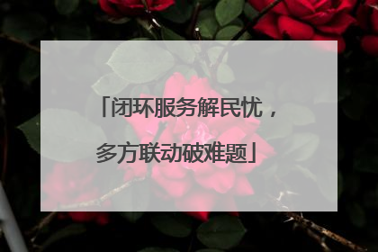 闭环服务解民忧，多方联动破难题
