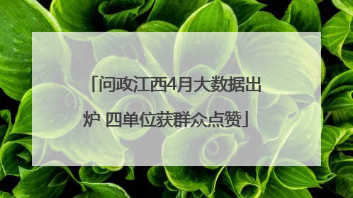 问政江西4月大数据出炉 四单位获群众点赞