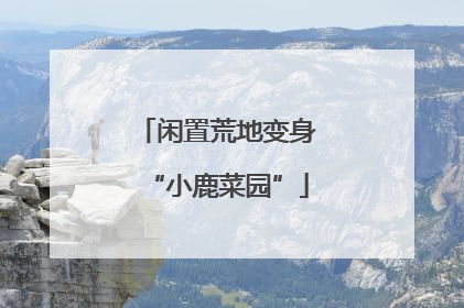 闲置荒地变身“小鹿菜园”