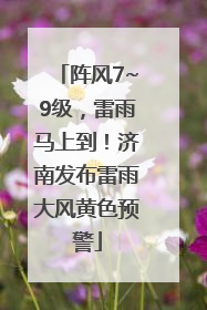 阵风7~9级，雷雨马上到！济南发布雷雨大风黄色预警
