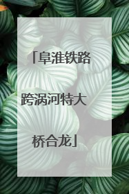 阜淮铁路跨涡河特大桥合龙