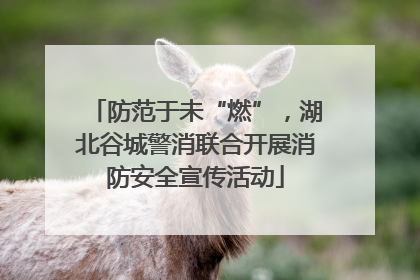 防范于未“燃”，湖北谷城警消联合开展消防安全宣传活动