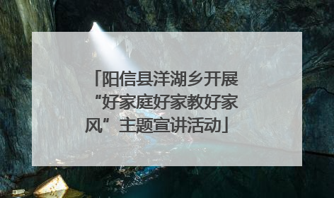 阳信县洋湖乡开展“好家庭好家教好家风”主题宣讲活动