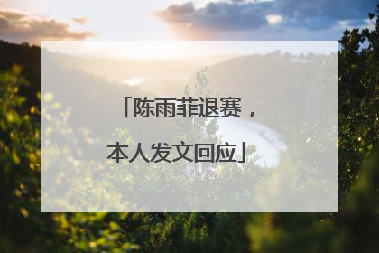 陈雨菲退赛，本人发文回应