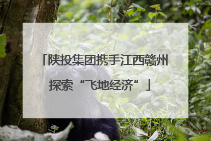 陕投集团携手江西赣州 探索“飞地经济”