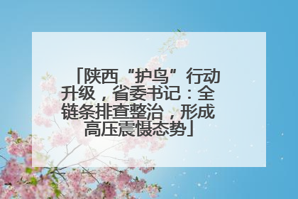 陕西“护鸟”行动升级，省委书记：全链条排查整治，形成高压震慑态势