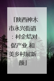 陕西神木市永兴街道：村企结对促产业 和美乡村展新颜