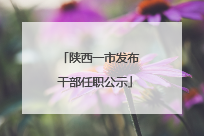 陕西一市发布干部任职公示