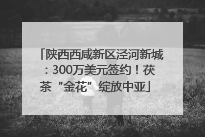 陕西西咸新区泾河新城：300万美元签约！茯茶“金花”绽放中亚