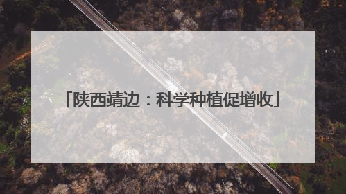 陕西靖边：科学种植促增收