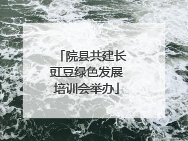 院县共建长豇豆绿色发展培训会举办