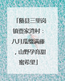 随县三里岗镇贾家湾村：八月瓜缀满藤，山野孕育甜蜜希望
