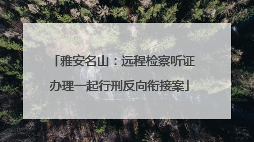 雅安名山：远程检察听证 办理一起行刑反向衔接案