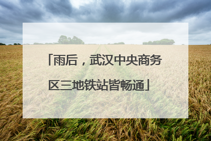 雨后，武汉中央商务区三地铁站皆畅通