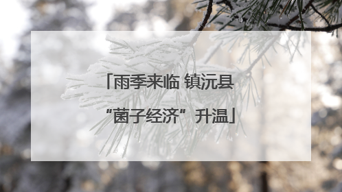 雨季来临 镇沅县“菌子经济”升温