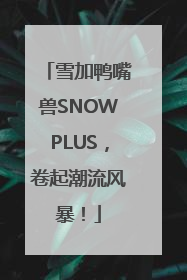 雪加鸭嘴兽SNOWPLUS，卷起潮流风暴！