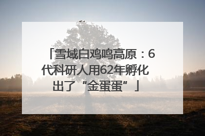 雪域白鸡鸣高原：6代科研人用62年孵化出了“金蛋蛋”
