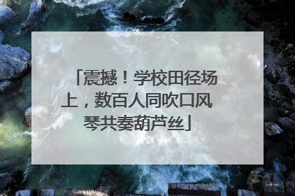 震撼！学校田径场上，数百人同吹口风琴共奏葫芦丝