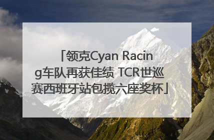 领克Cyan Racing车队再获佳绩 TCR世巡赛西班牙站包揽六座奖杯