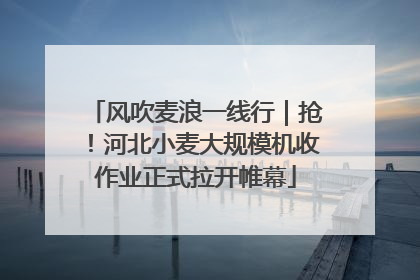 风吹麦浪一线行｜抢！河北小麦大规模机收作业正式拉开帷幕