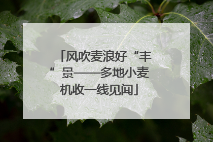 风吹麦浪好“丰”景——多地小麦机收一线见闻