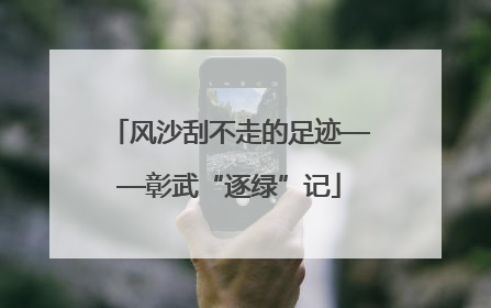 风沙刮不走的足迹——彰武“逐绿”记