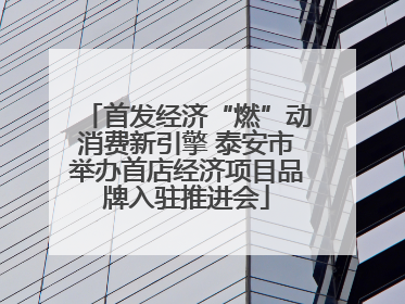 首发经济“燃”动消费新引擎 泰安市举办首店经济项目品牌入驻推进会