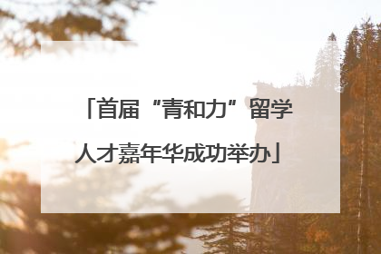 首届“青和力”留学人才嘉年华成功举办
