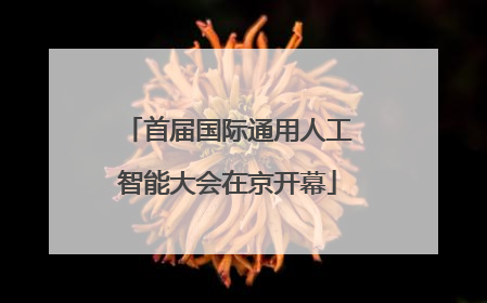 首届国际通用人工智能大会在京开幕