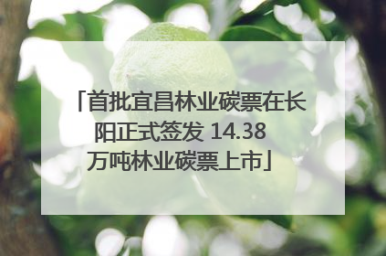 首批宜昌林业碳票在长阳正式签发 14.38万吨林业碳票上市