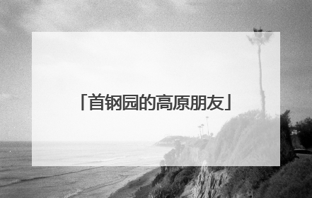 首钢园的高原朋友